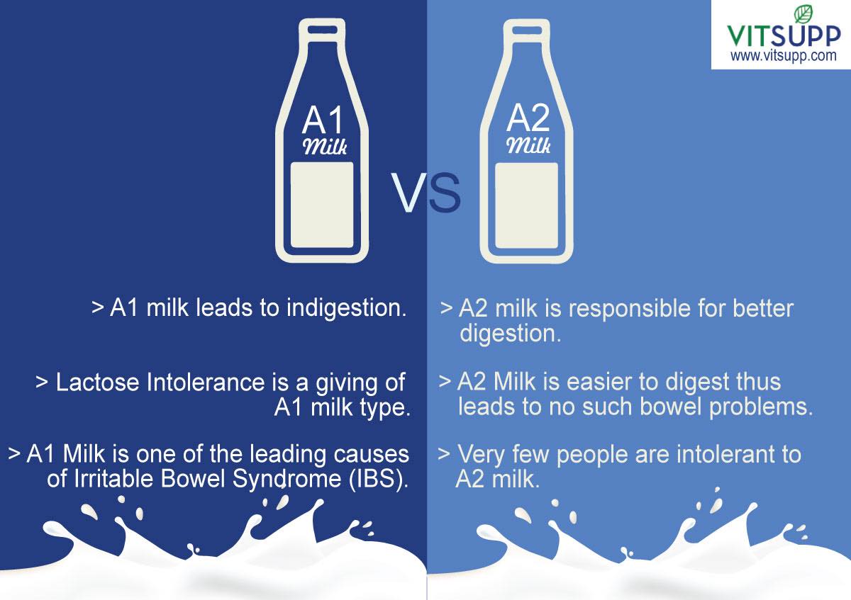 A1 vs A2 Milk, which one is more beneficial?