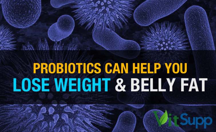 How Probiotics help you lose weight and belly fat