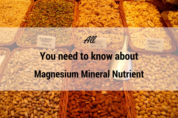 All you need to know about Magnesium Mineral Nutrient