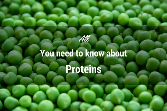 all-you-need-to-know-about-proteins