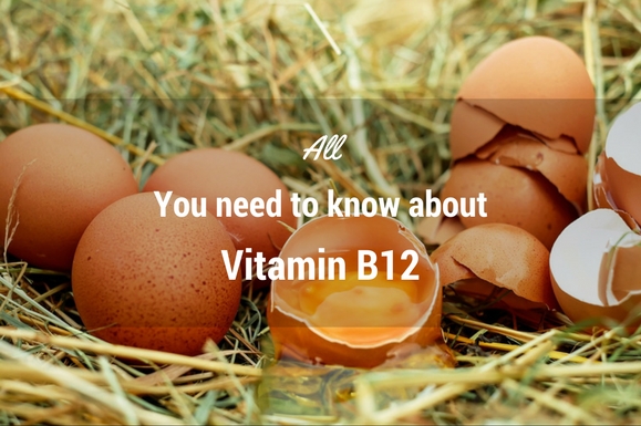 All you need to know about Vitamin B12