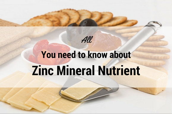 All you need to know about Zinc Mineral Nutrient