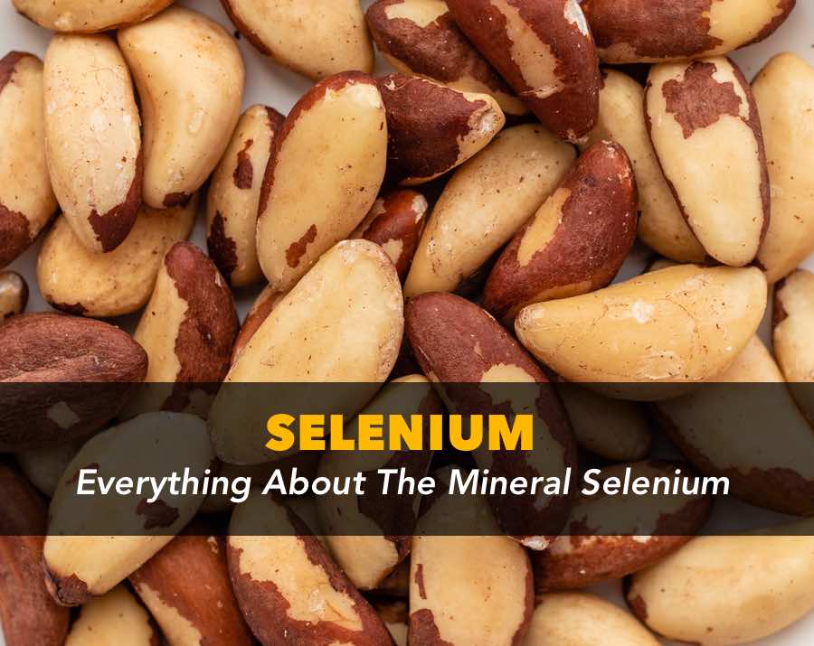 Everything about selenium