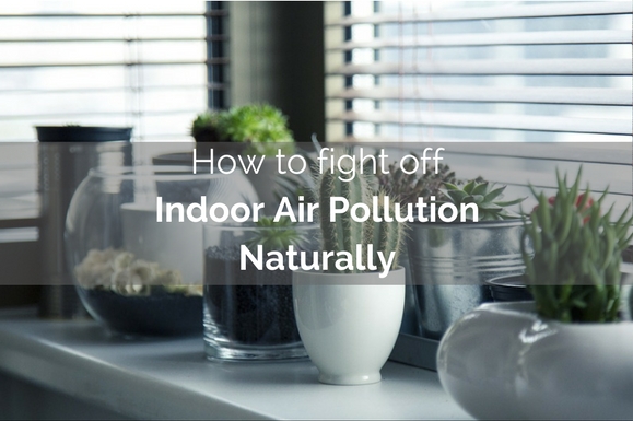 how-to-fight-off-indoor-air-pollution-naturally