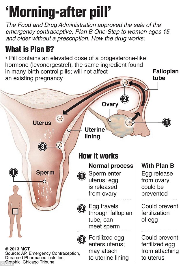 Morning After Pill Ingredients