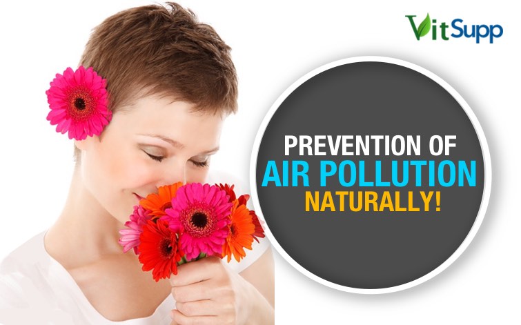 Air Pollution Causes, Effects, Prevention & Control to Stay Healthy