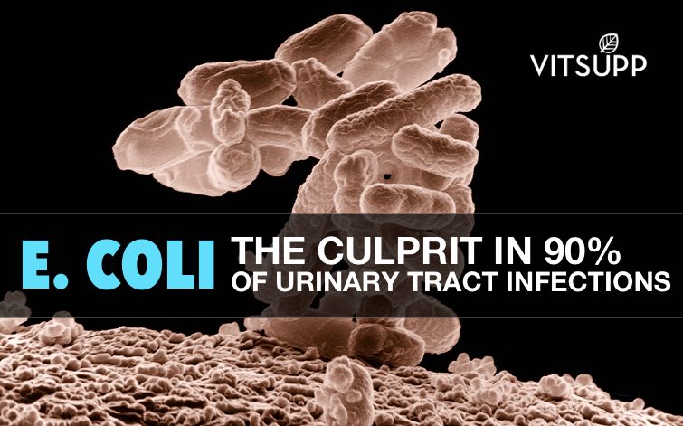 E.Coli - Cause of urine infection in women