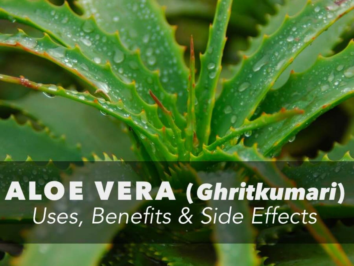 Aloe vera toothpaste deals side effects