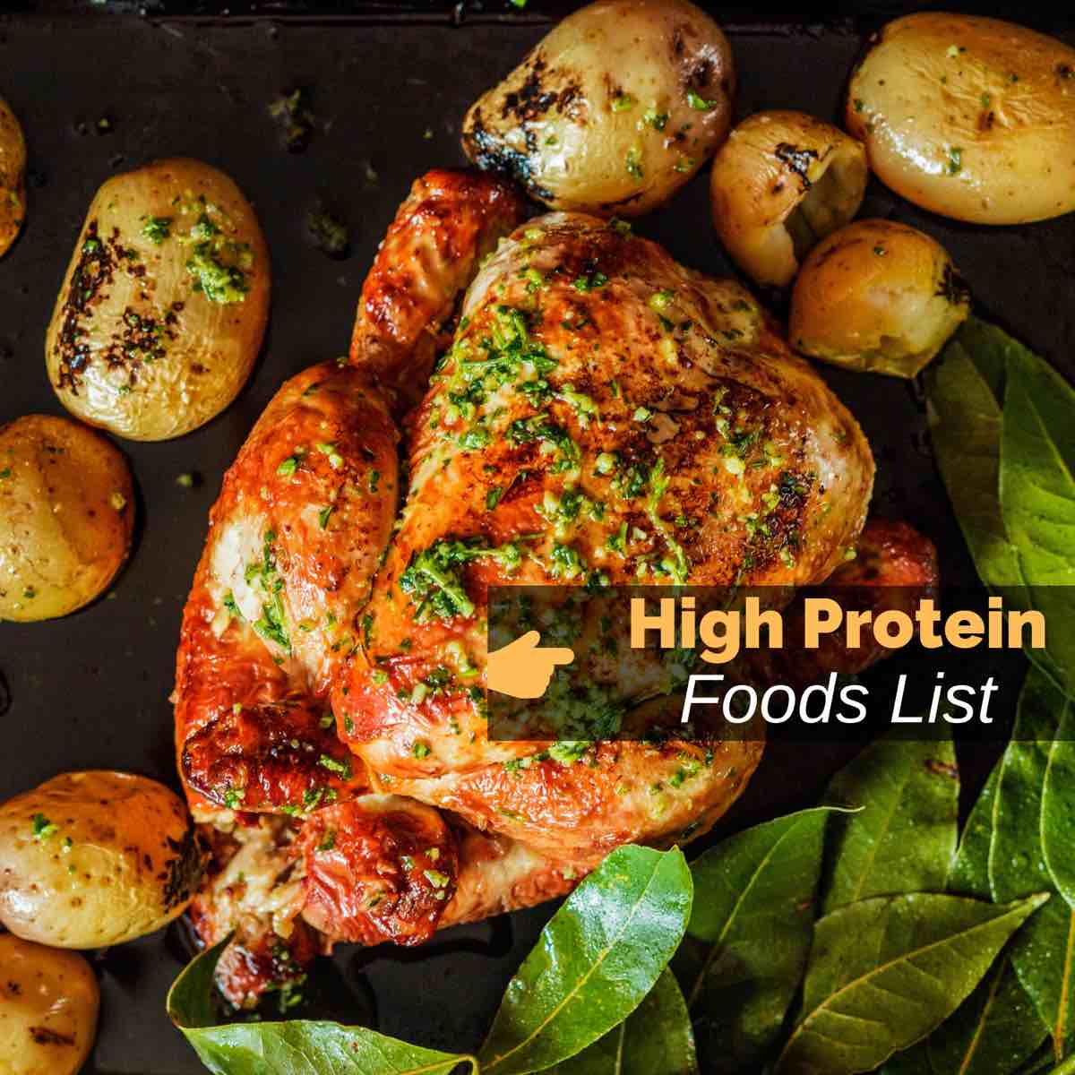 high protein foods for weight loss