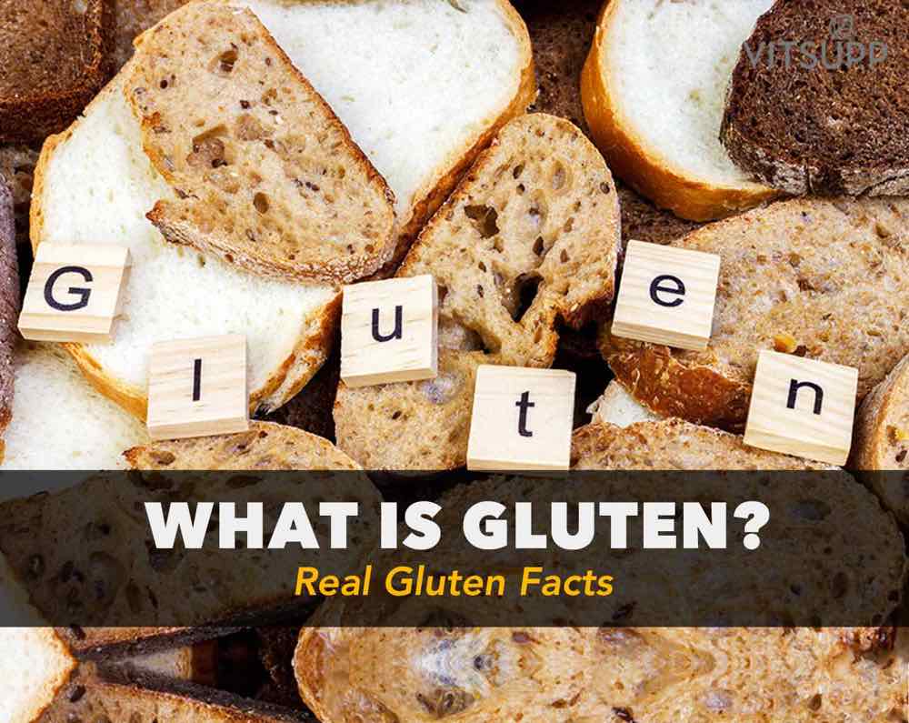 what is gluten made of