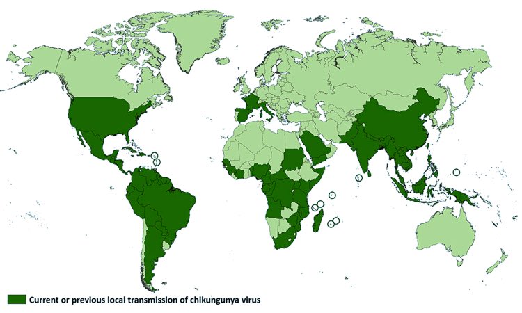 Chikungunya Spread across the world