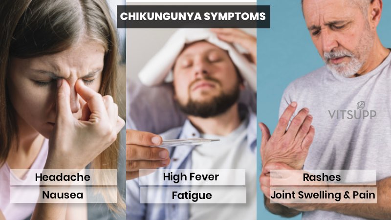 Chikungunya Symptoms