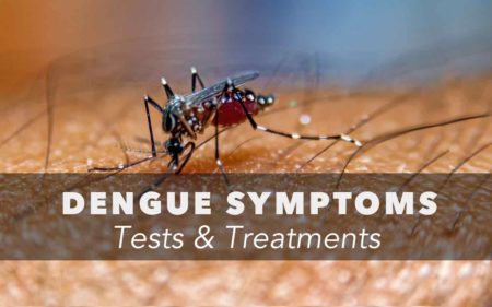 dengue symptoms tests and treatments