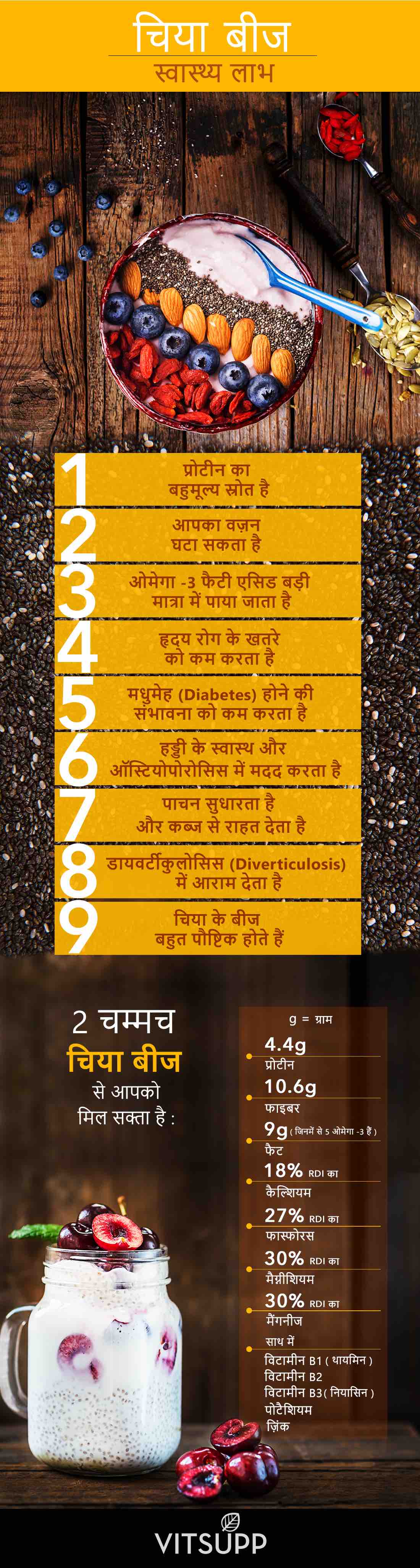 chia seeds benefits in hindi चिया सीड के लाभ