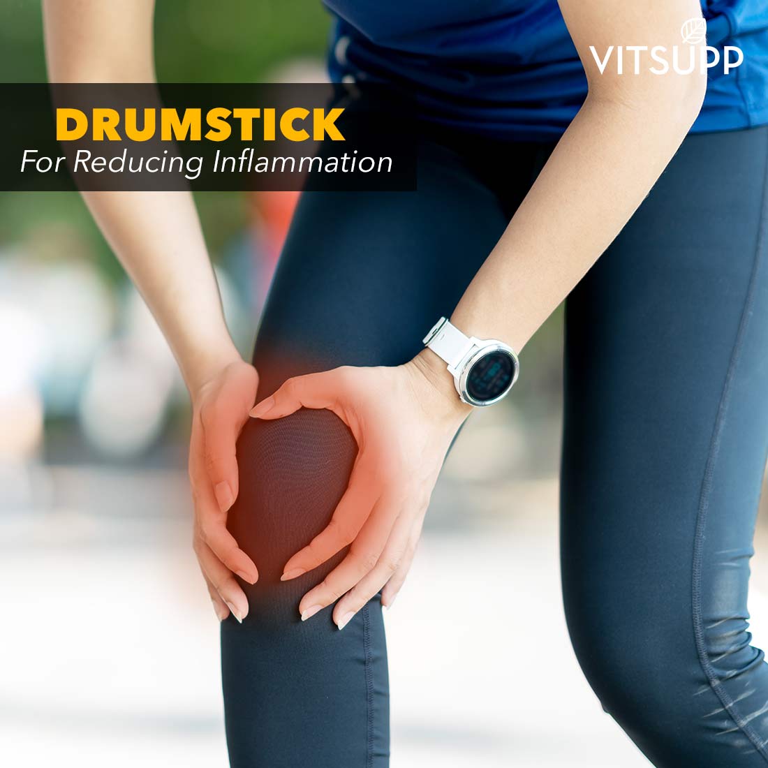 Drumstick Leaves, Flowers & Seeds Health Benefits and Side Effects