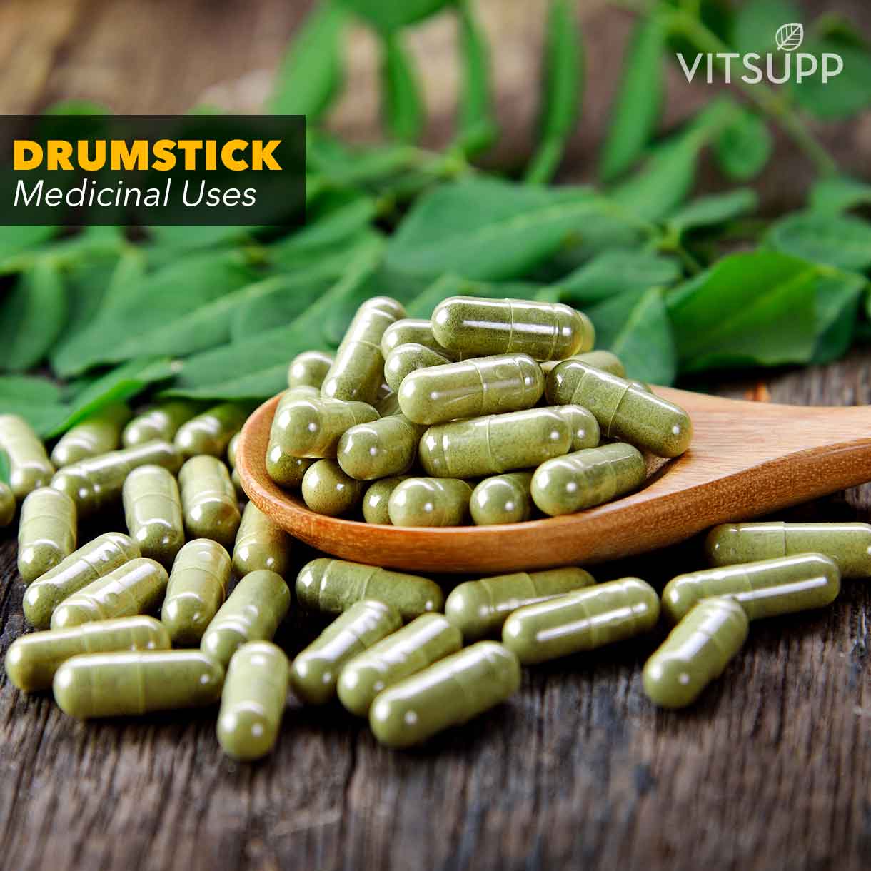 Drumstick Leaves, Flowers & Seeds Health Benefits and Side Effects