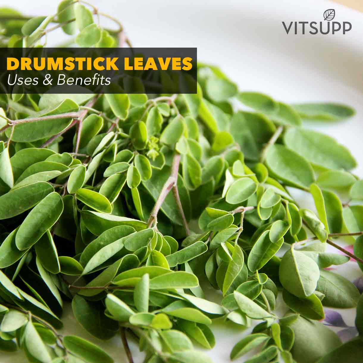 health benefits of drumstick leaves benefits