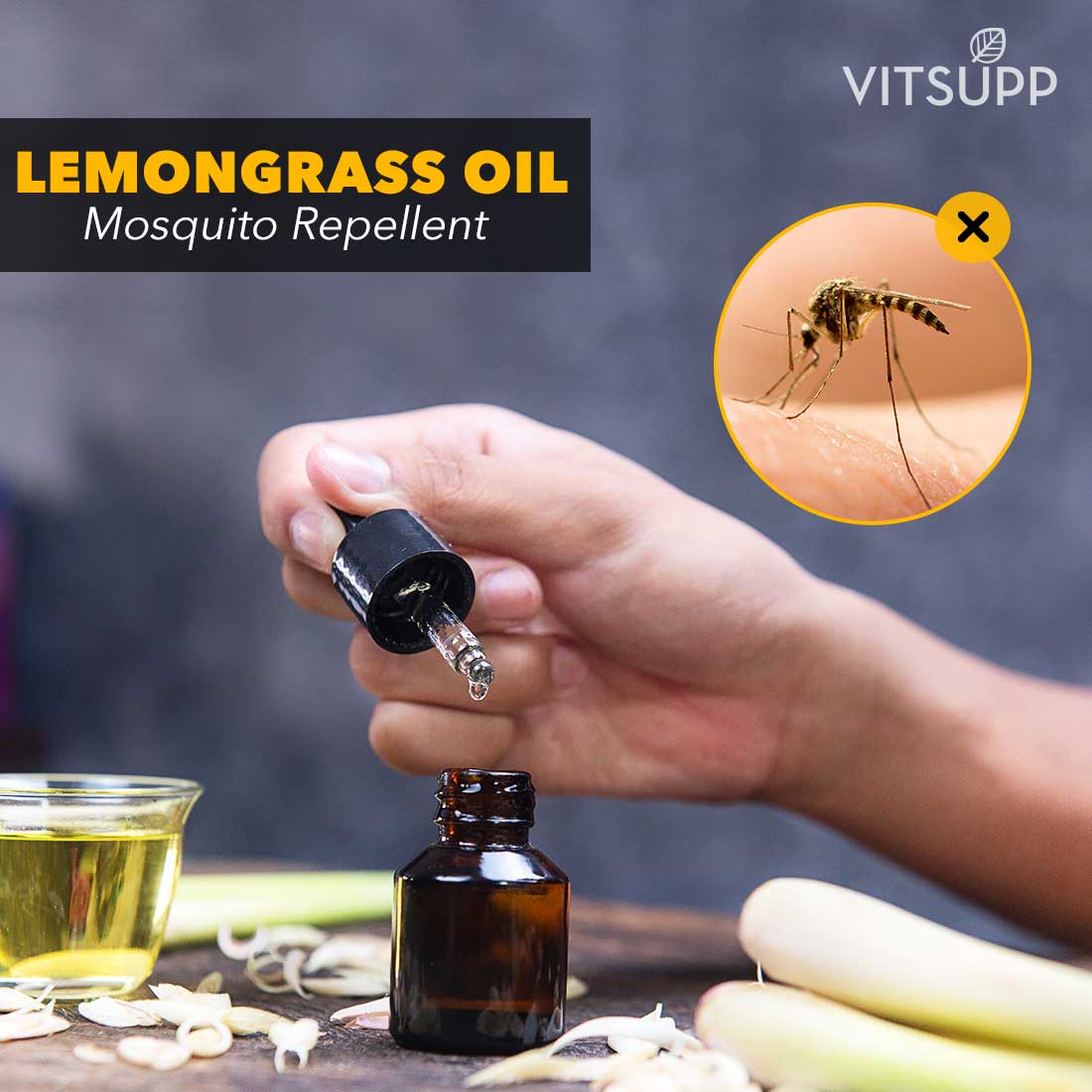 lemongrass mosquitoes lemongrass mosquito repellent