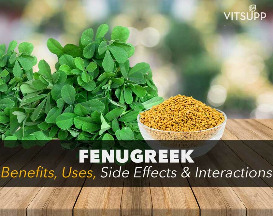 Fenugreek Seeds Benefits, Uses, Side Effects and Interactions VitSupp