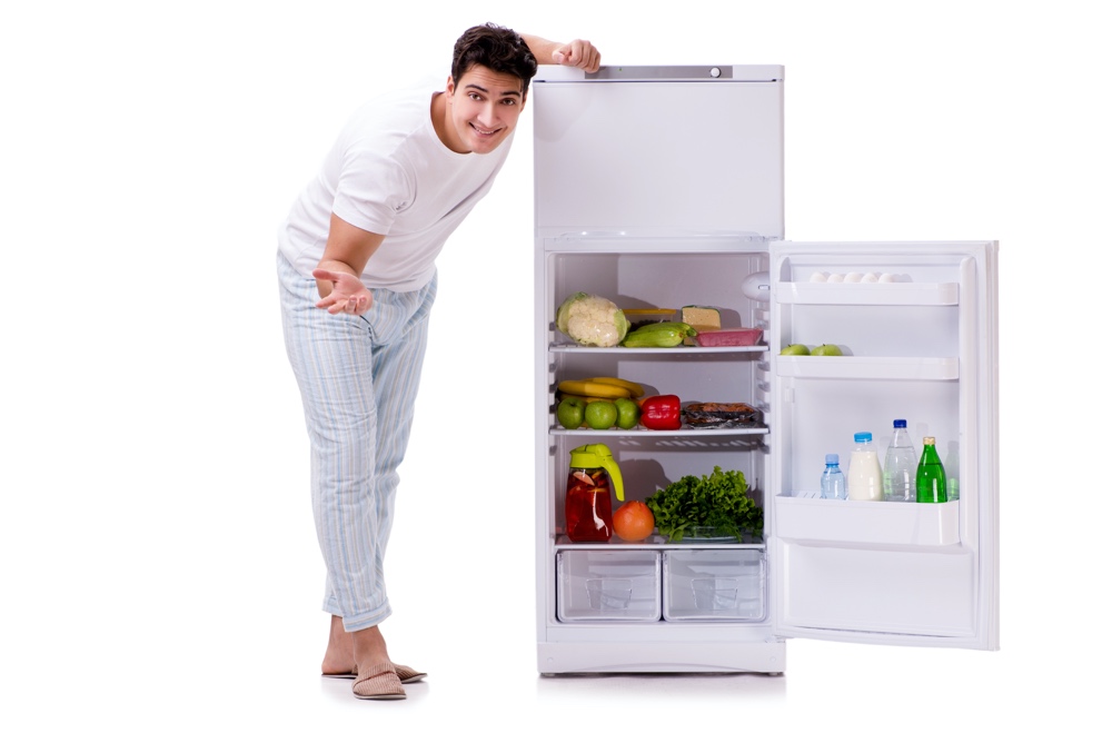 best refrigerator in india 2017 review