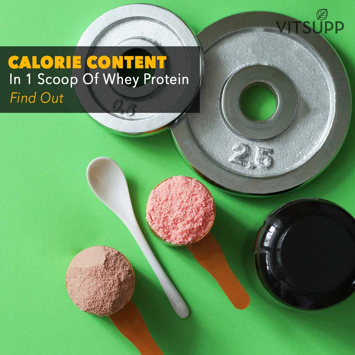 whey protein calories