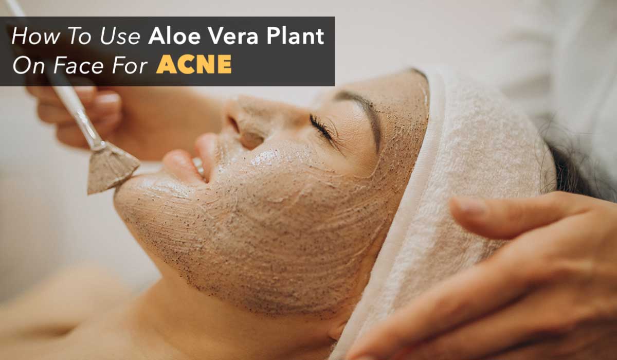 how to use aloe vera powder for face