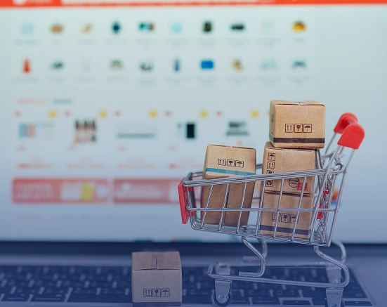 VitSupp’s Economic Accessibility