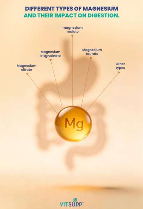 The Different Forms of Magnesium and Their Effect on Digestion