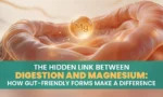 The Hidden Link between Digestion and Magnesium: How Gut-Friendly Forms Make a Difference