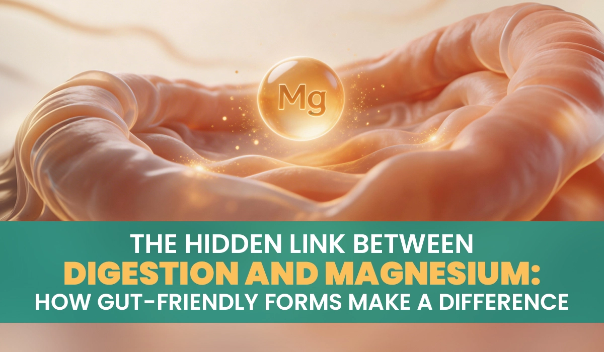 The Hidden Link between Digestion and Magnesium: How Gut-Friendly Forms Make a Difference