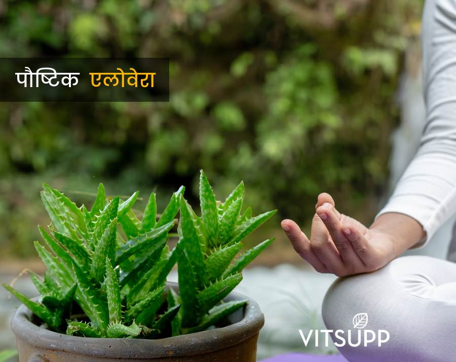 aloe vera khane ke fayde aur nuksan