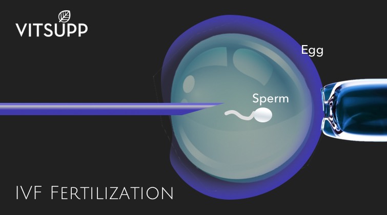 test tube baby fertilization