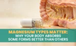 Types of Magnesium for Understanding Absorption Differences