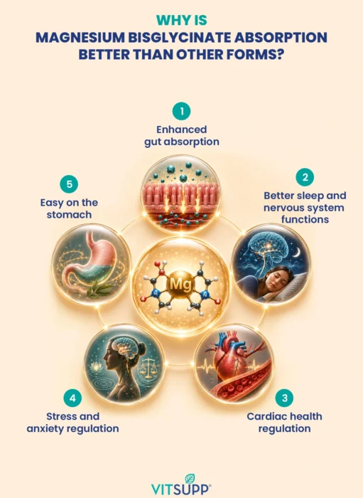 Why Magnesium Bisglycinate Is Better for Absorption