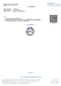 Heavy Metal Safety Report - Page 4