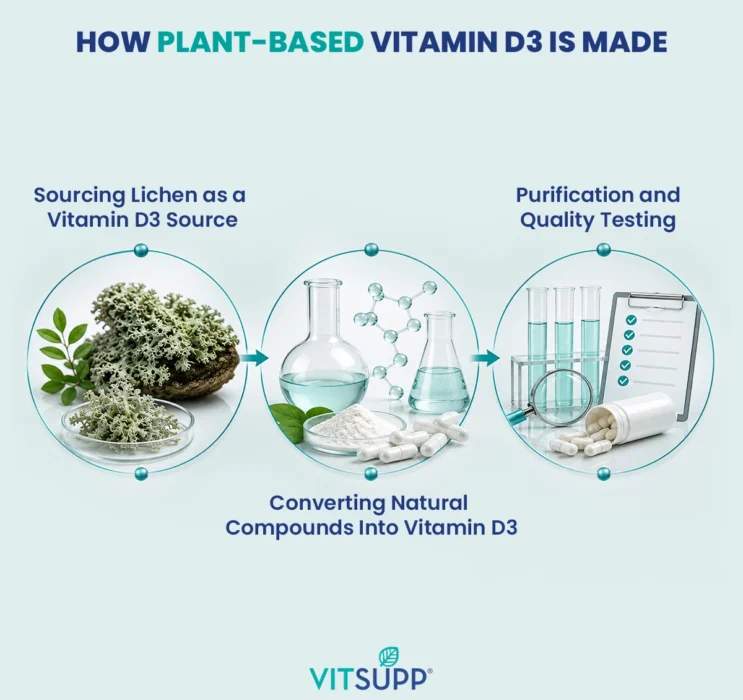 How lichen derived plant-based vitamin d3 is made