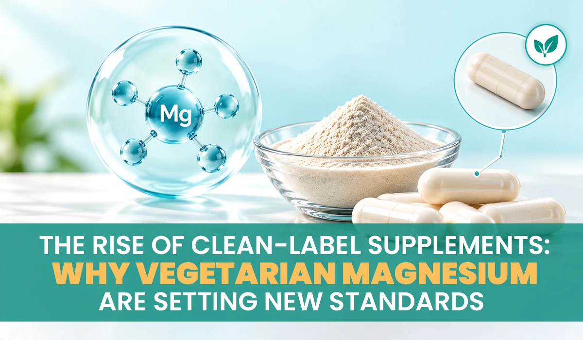 Vegetarian magnesium supplements with clean-label ingredients and plant-based capsules